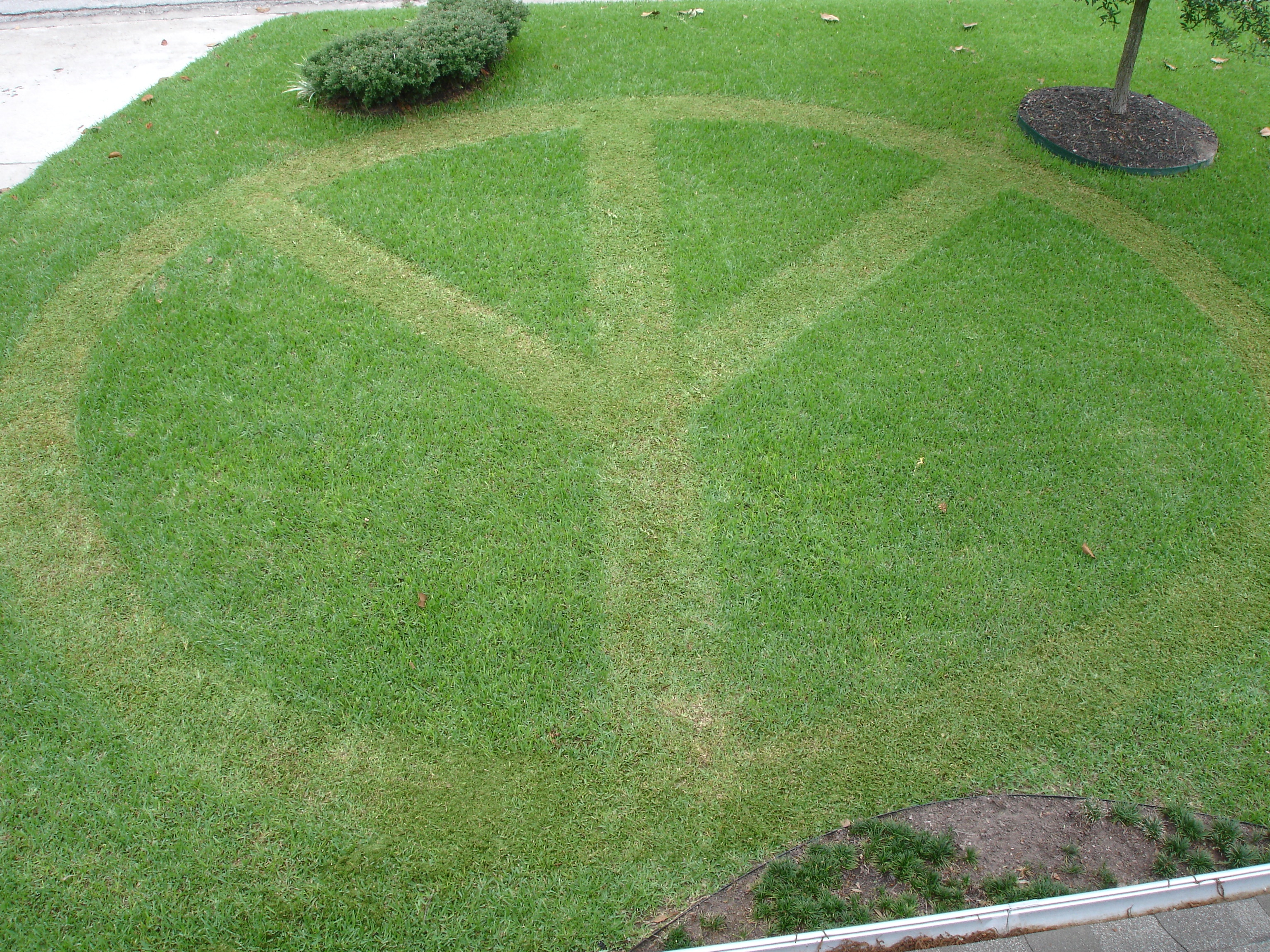 lawn-of-peace.jpg